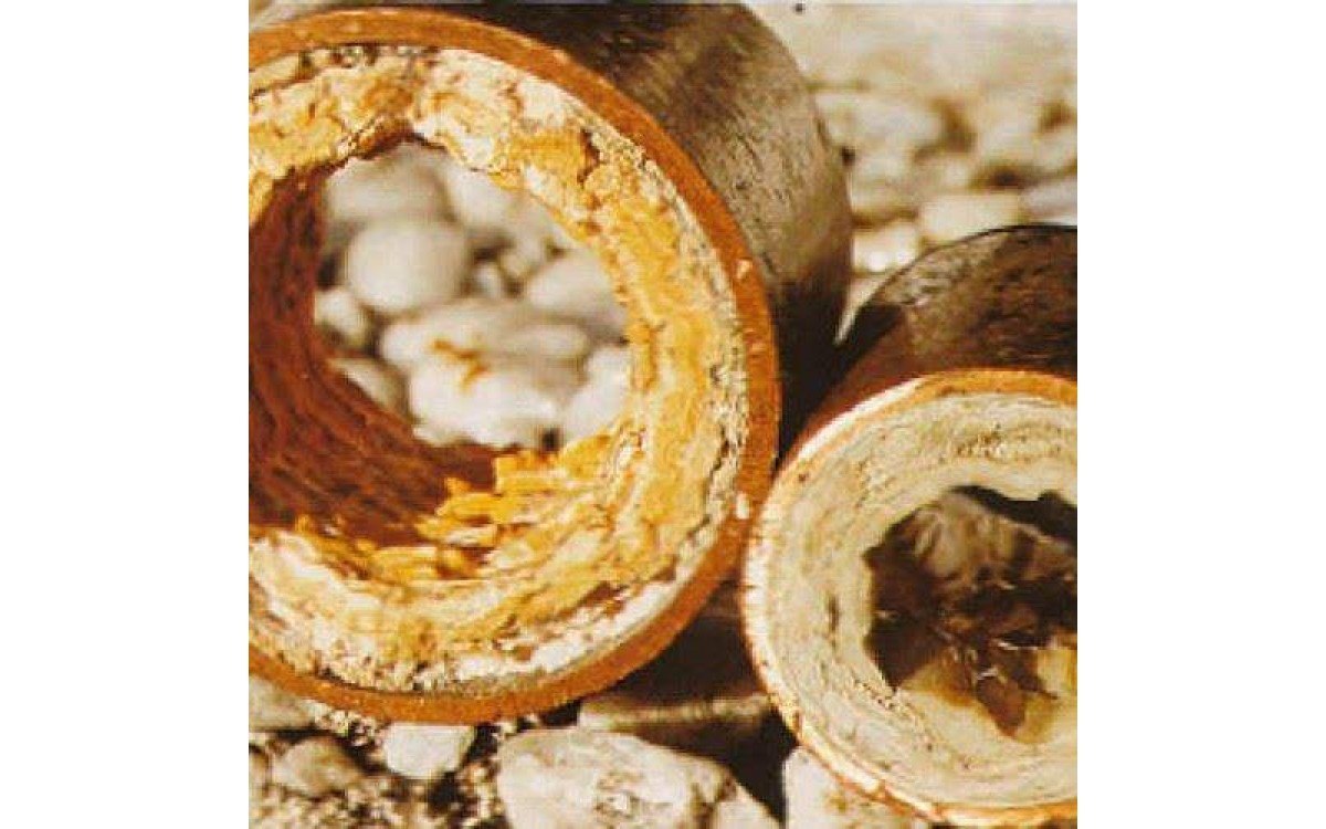 Những lưu ý trước khi mua hóa chất tẩy lò hơi